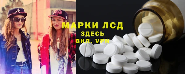 стаф Аркадак
