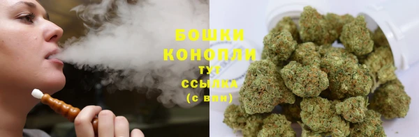 PSILOCYBIN Армянск
