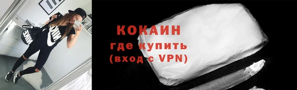 стаф Аркадак