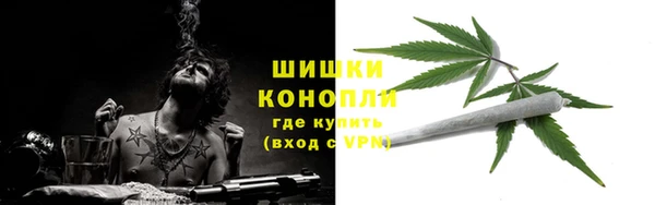 PSILOCYBIN Армянск