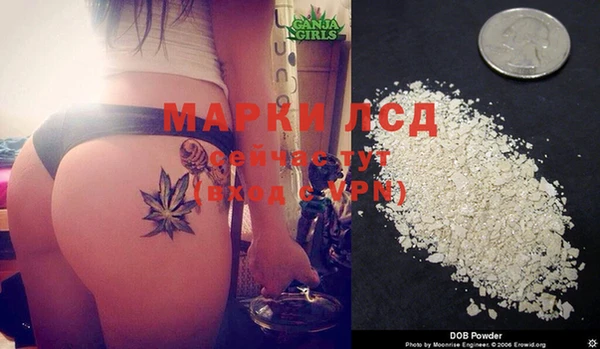 PSILOCYBIN Армянск
