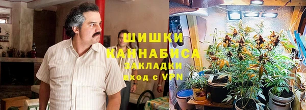 PSILOCYBIN Армянск