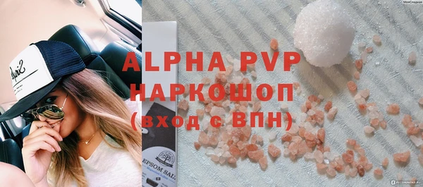 стаф Аркадак
