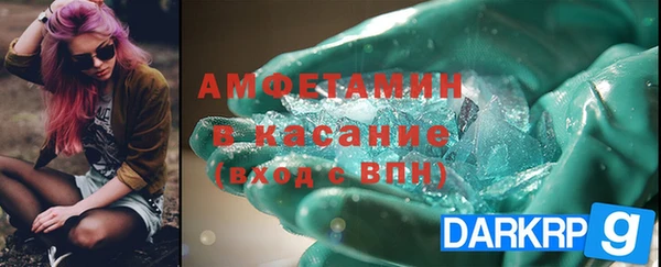 стаф Аркадак