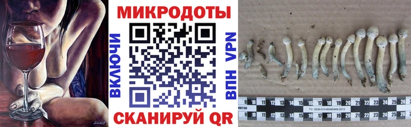 Псилоцибиновые грибы прущие грибы Почеп